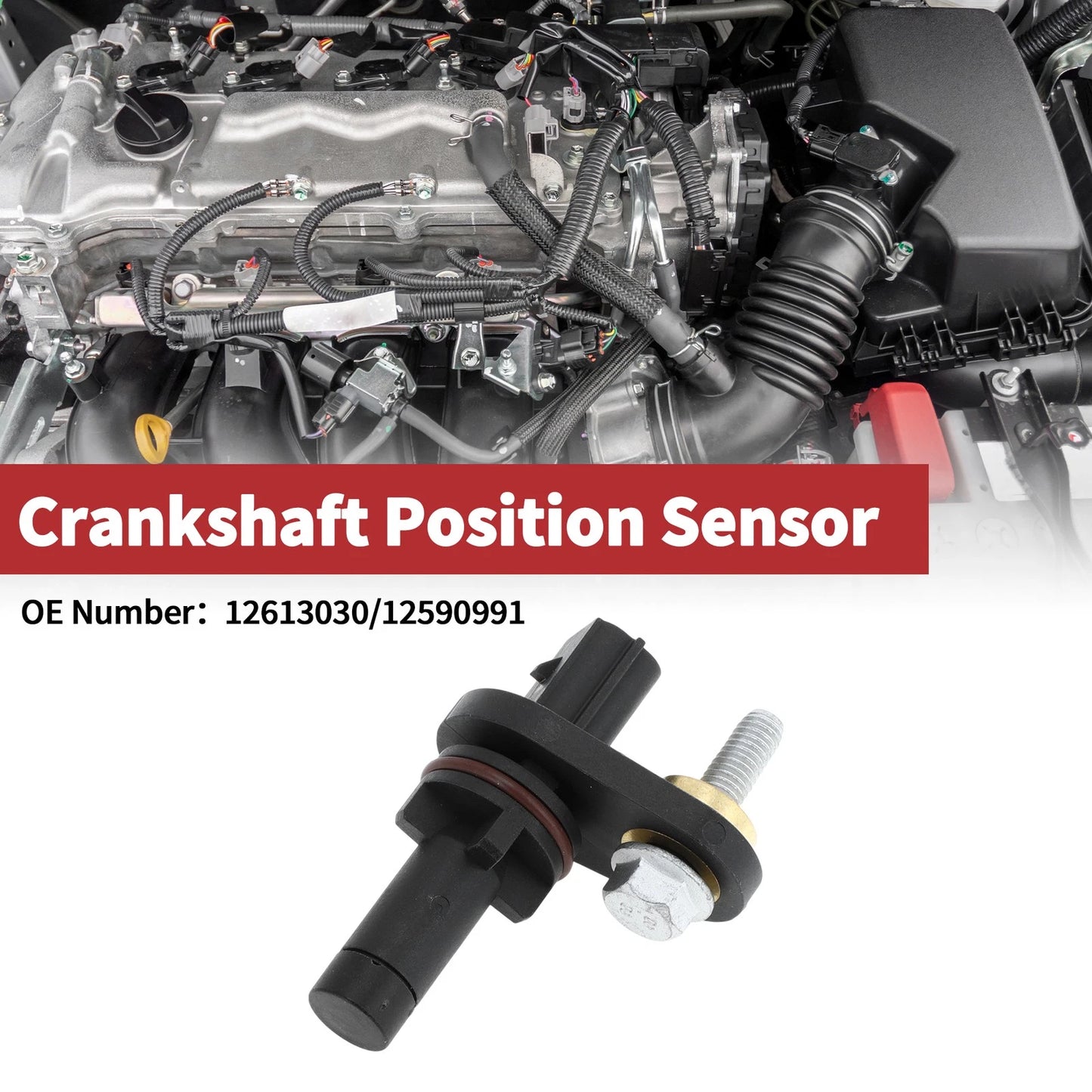 Crankshaft Position Sensor for Chevrolet Equinox Sport 3.6 (08-09)