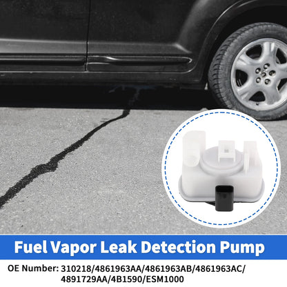 Leak Detection Pump for Chrysler 200 (2011-2014)