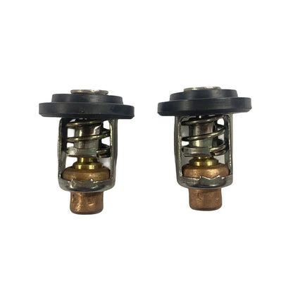 Thermostat Kit for Johnson Evinrude V4 Crossflow 100-103673 1980-1990