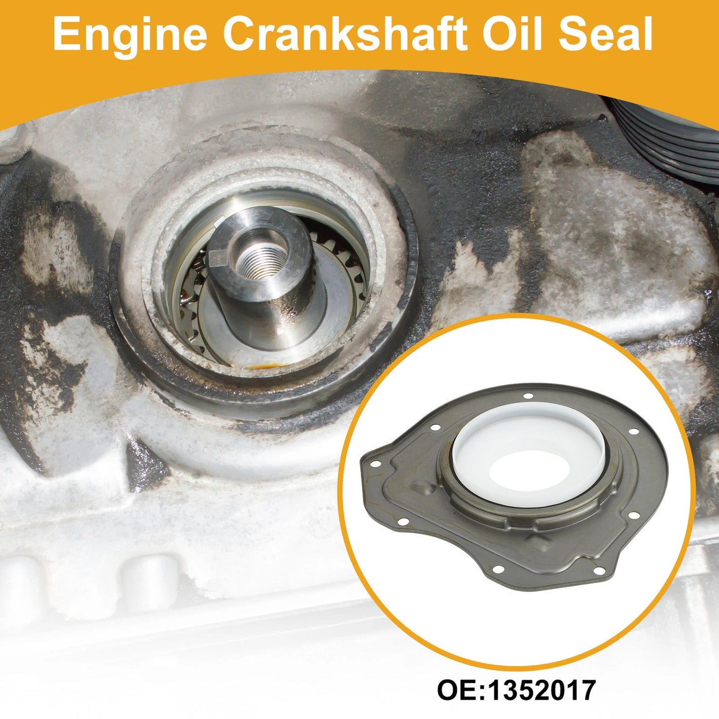 Crankshaft Oil Seal for Ford Transit (2018-2019)