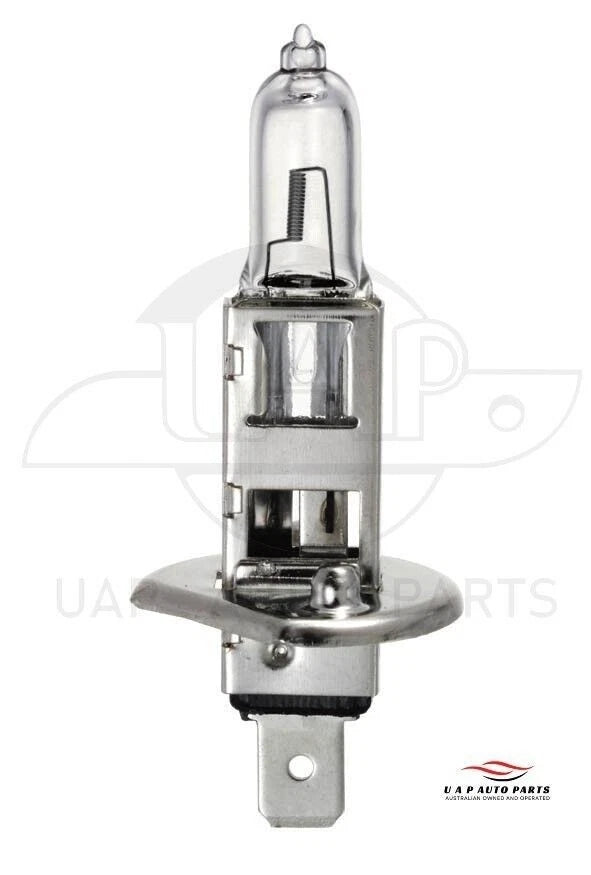 Halogen Head Light P14.5s 12V 55W Michiba 2 x for Car