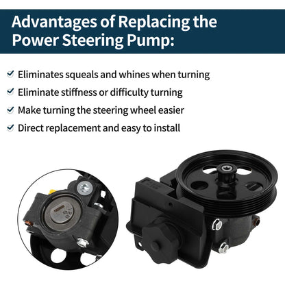 Power Steering Pump & Pulley for Ford Focus 2.0L L4 (2006-2011)