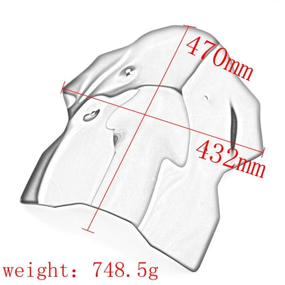Front Wind Deflector for BMW R1300GS (2023)