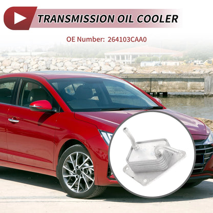 Engine Oil Cooler for Hyundai Santa Fe (2012)