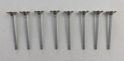 8 x Inlet Valves for Beetle Bora Golf Lupo Polo Caddy Fabia Octavia