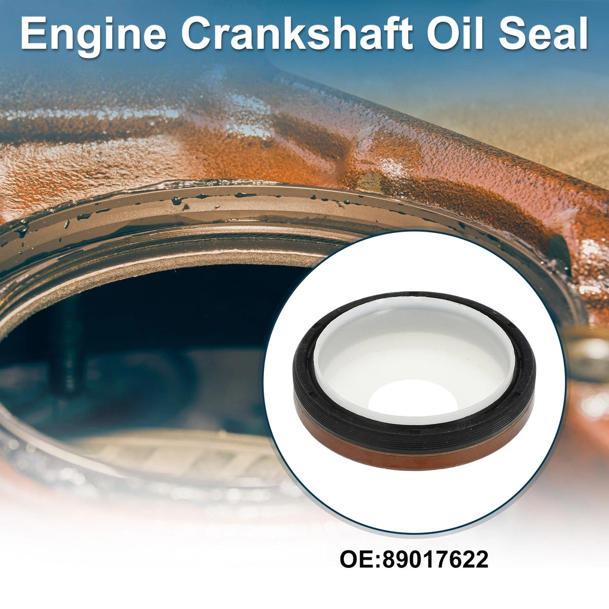 1 Front Crankshaft Oil Seal Main Seal for Chevrolet Colorado