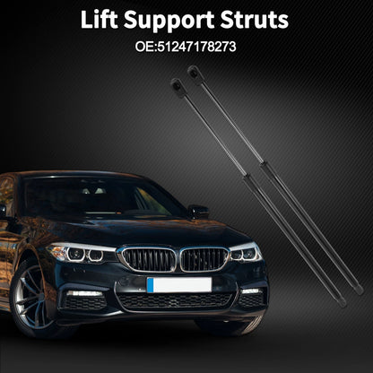 Tailgate Lift Supports Struts for BMW 5 Series E61 520-550 M5 (2006-2010)
