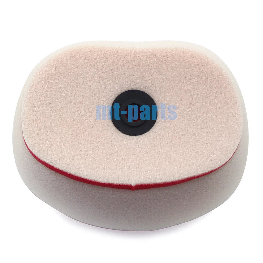 Air Filter Element for Bosuer BSE M5 M-5 250L 250 (2019)