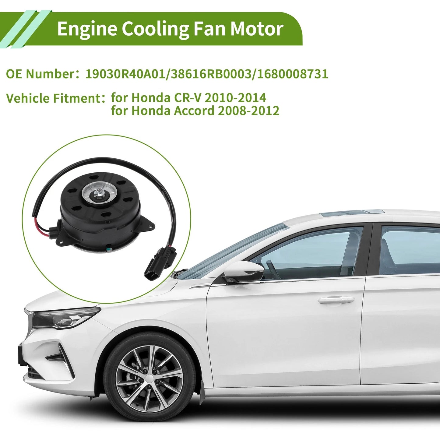 Radiator Fan Motor for Honda CR-V (2010-2014)