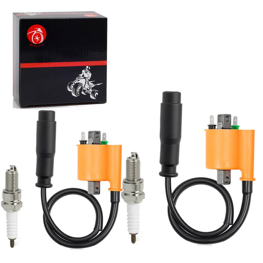 2 x Ignition Coil Spark Plug for Kawasaki Teryx 750 800 (2009-2022)