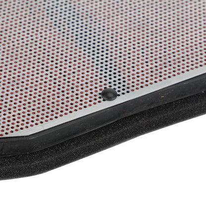 Air Filter for Daytona 675 R, Street Triple 675 R, RX (2007-2020)