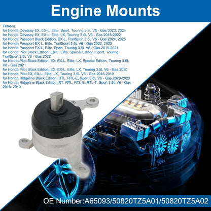 Engine Motor Mount for Honda Odyssey EX 3.5L V6 (2023-2024)