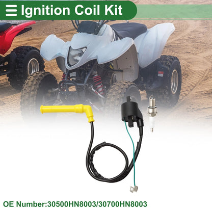 Ignition Coil for Honda Rincon 650 TRX650FA 2003-2005 (1 Set)