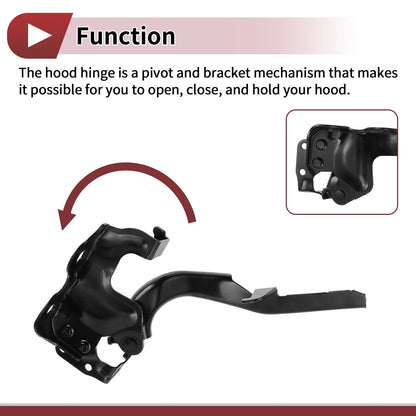 Hood Hinges 1 Pair for Lexus GX460 (2010-2021)