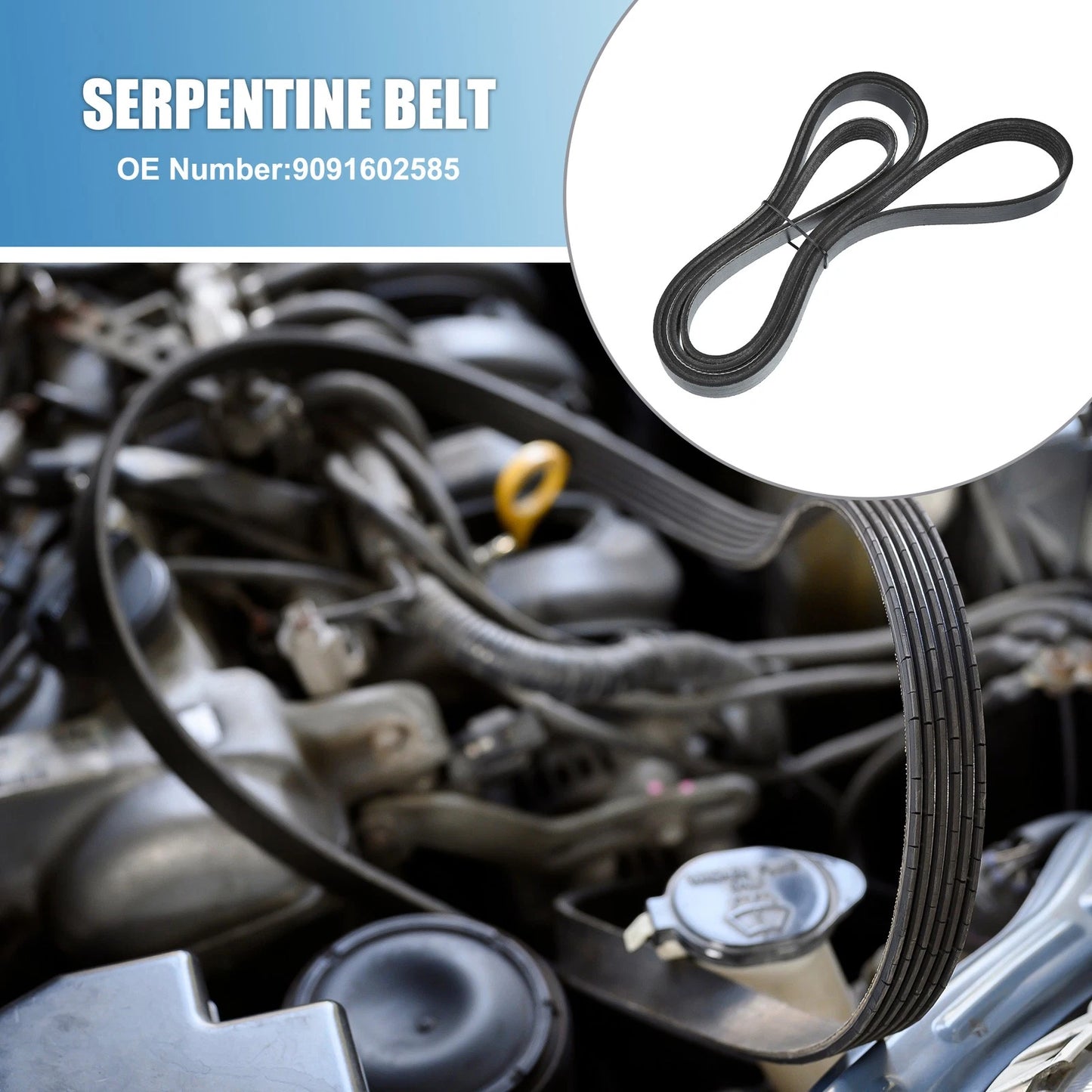 Serpentine Belt V-Ribbed Belt for Chevrolet Corvette