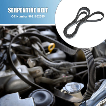 Serpentine Belt V-Ribbed Belt for Chevrolet Corvette