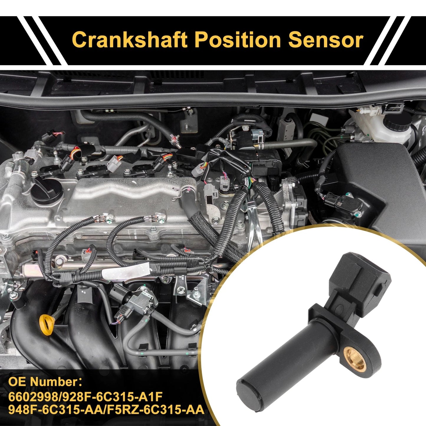 Crankshaft Position Sensor for Ford Focus 1.4 16V (2000-2004)