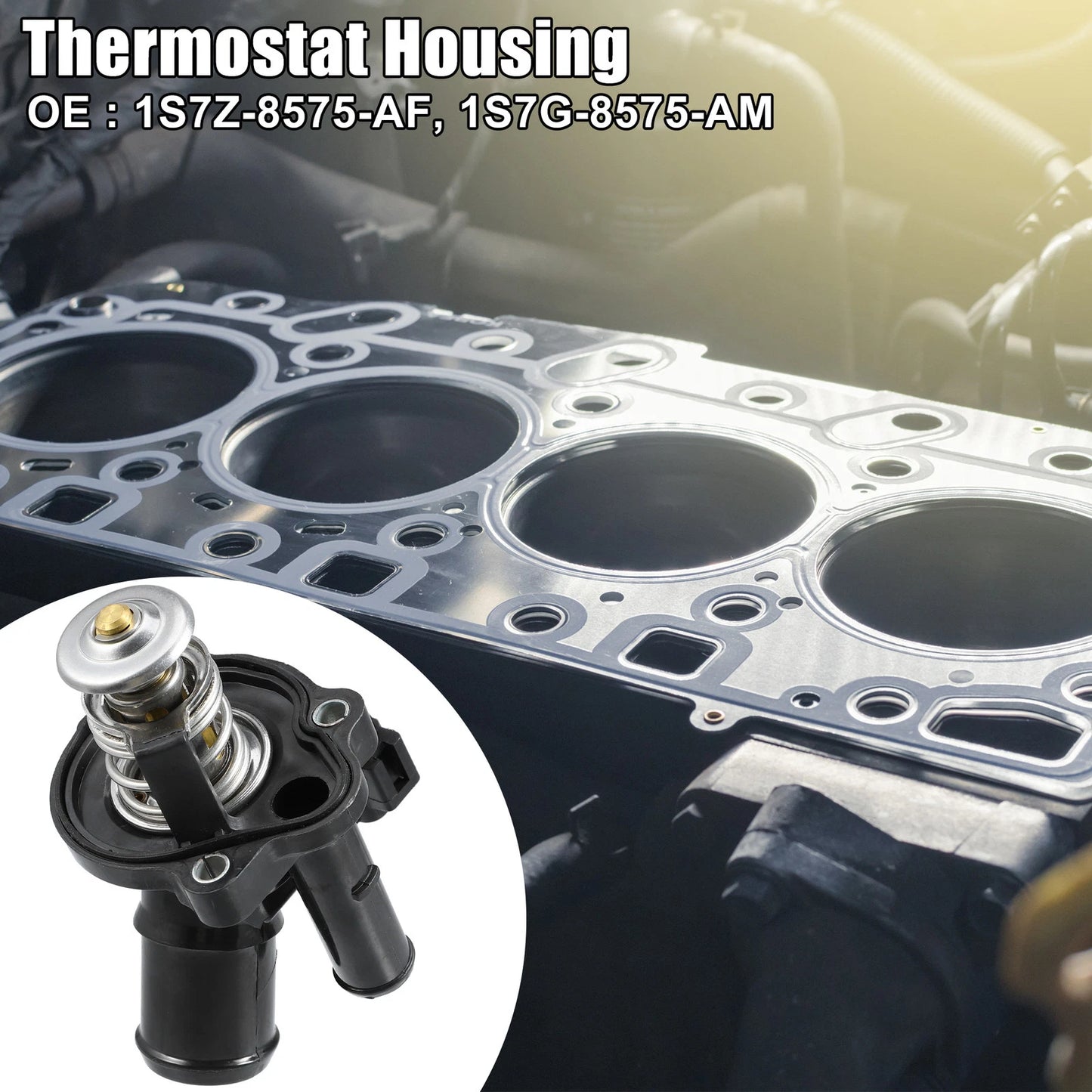 Engine Coolant Thermostat Housing for Ford Focus (2000-2007)