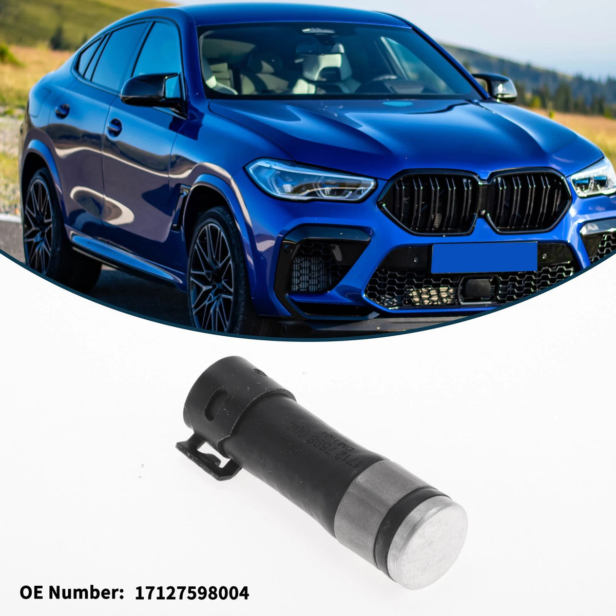 Radiator Hose for BMW X6 2010-2011 Coolant Tube (2010-2011)