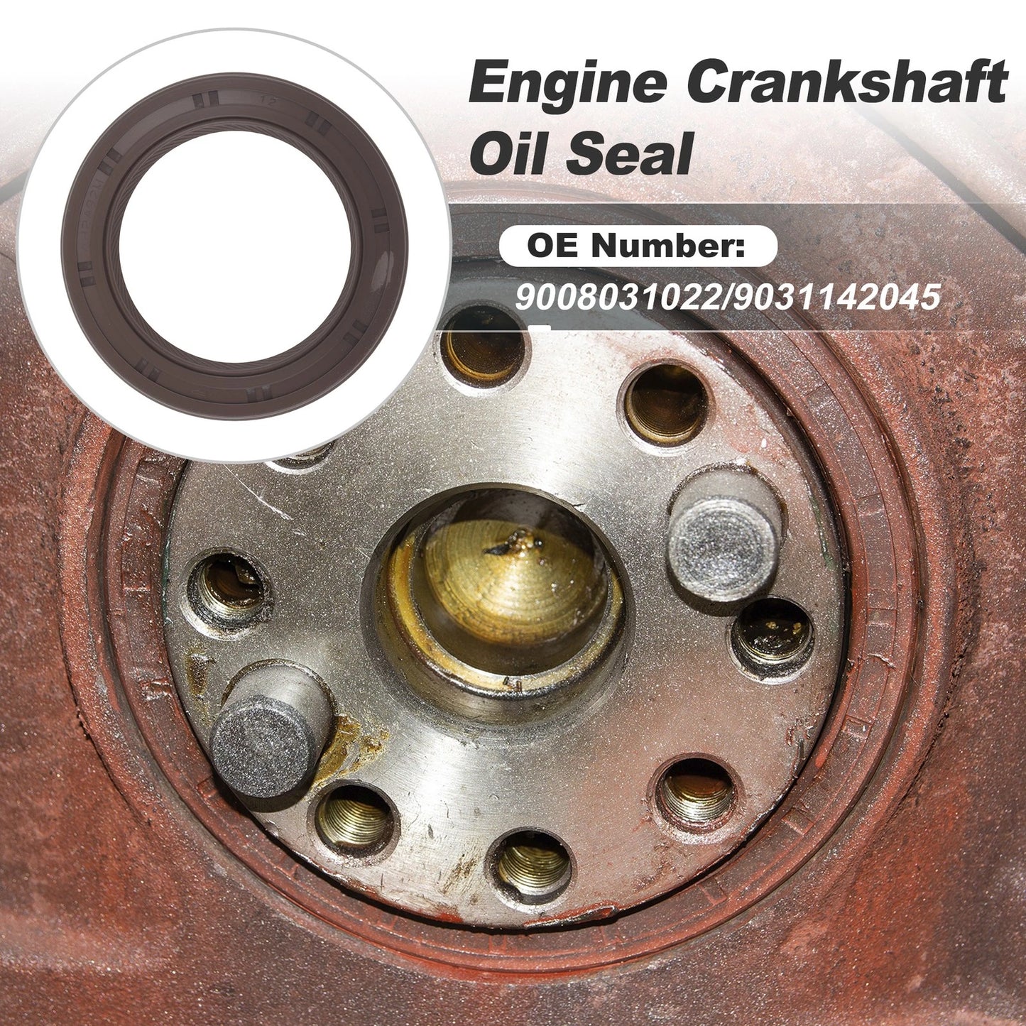 Crankshaft Seal Engine Cam Seal for Toyota Camry (2011–2011)