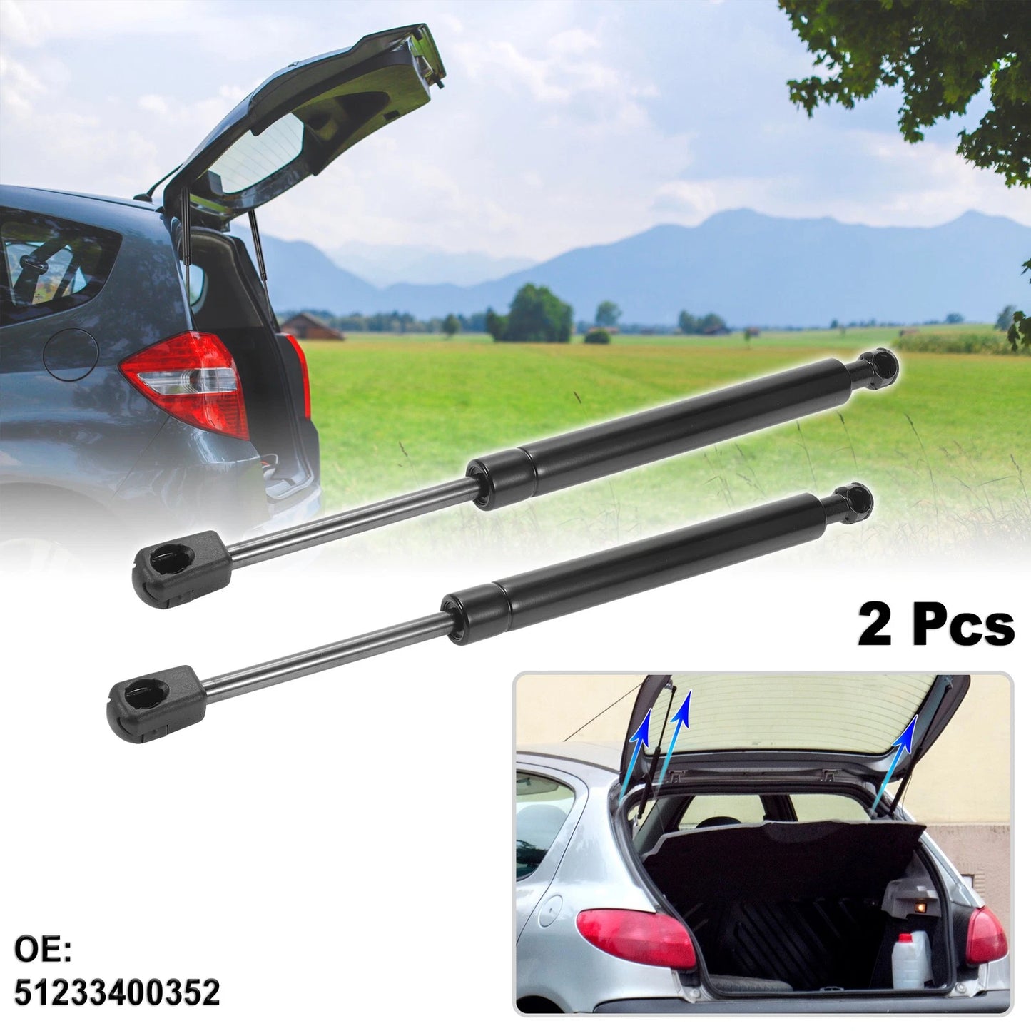 Front Hood Lift Support Gas Struts for BMW X3/E83 (2004-2010)