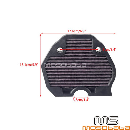 Air Intake Filter Cleaner for BN302, BN302S (2014-2019)
