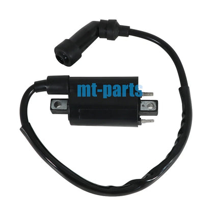 Ignition Coil for SMC ATV Barossa Jumbo 300 301 302, RAM, Razzer 300