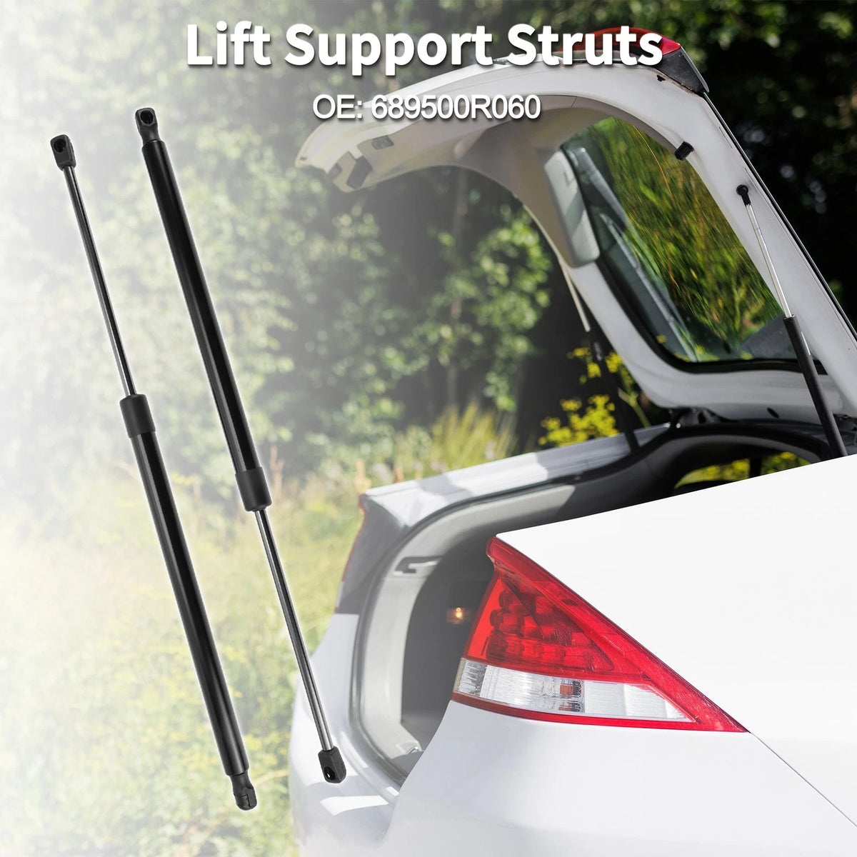 Rear Hatch Lift Supports for Toyota RAV4 (2006-2012)