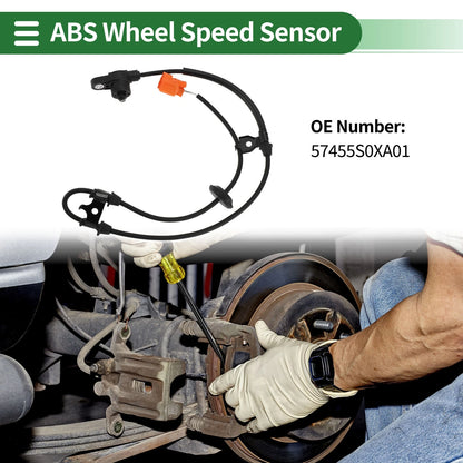 ABS Wheel Speed Sensor for Honda Odyssey (1999-2004)