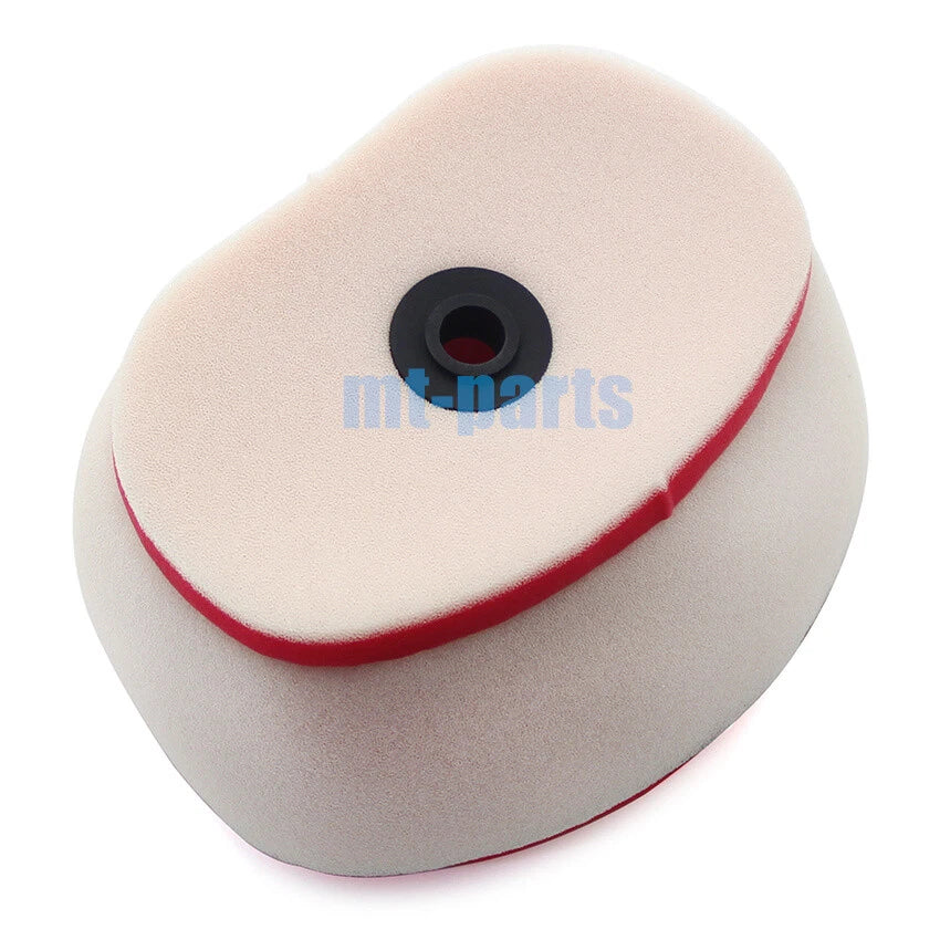 Air Filter Element for Bosuer BSE M5 M-5 250L 250 (2019)