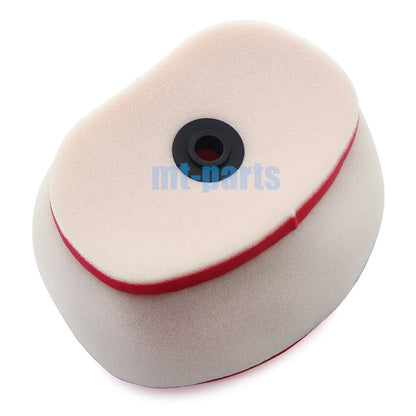 Air Filter Element for Bosuer BSE M5 M-5 250L 250 (2019)