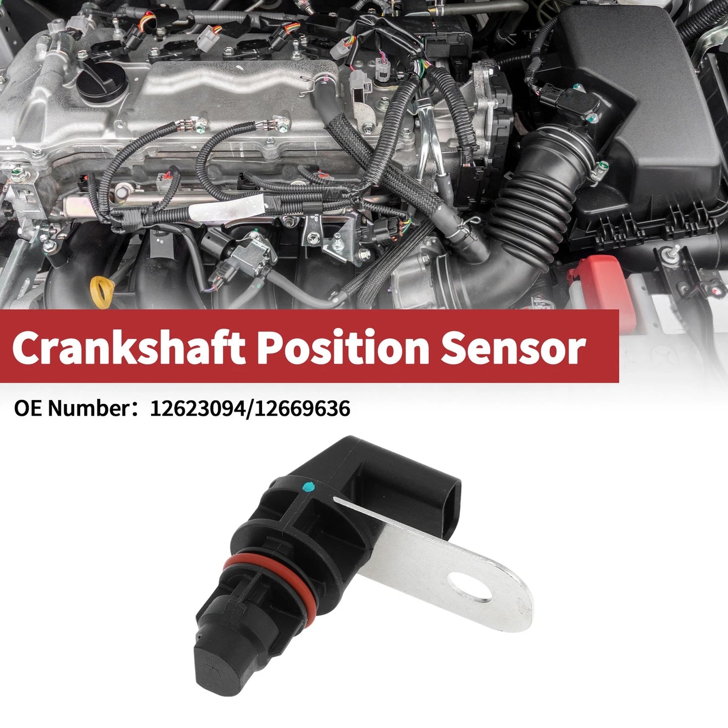 Crankshaft Position Sensor for Chevrolet Corvette C7 (2014-2019)