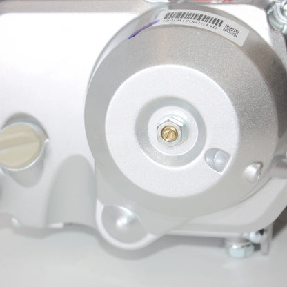 125cc Fully Auto Reverse Engine Motor for BT PIT QUAD DIRT BIKE ATV DUNE BUGGY