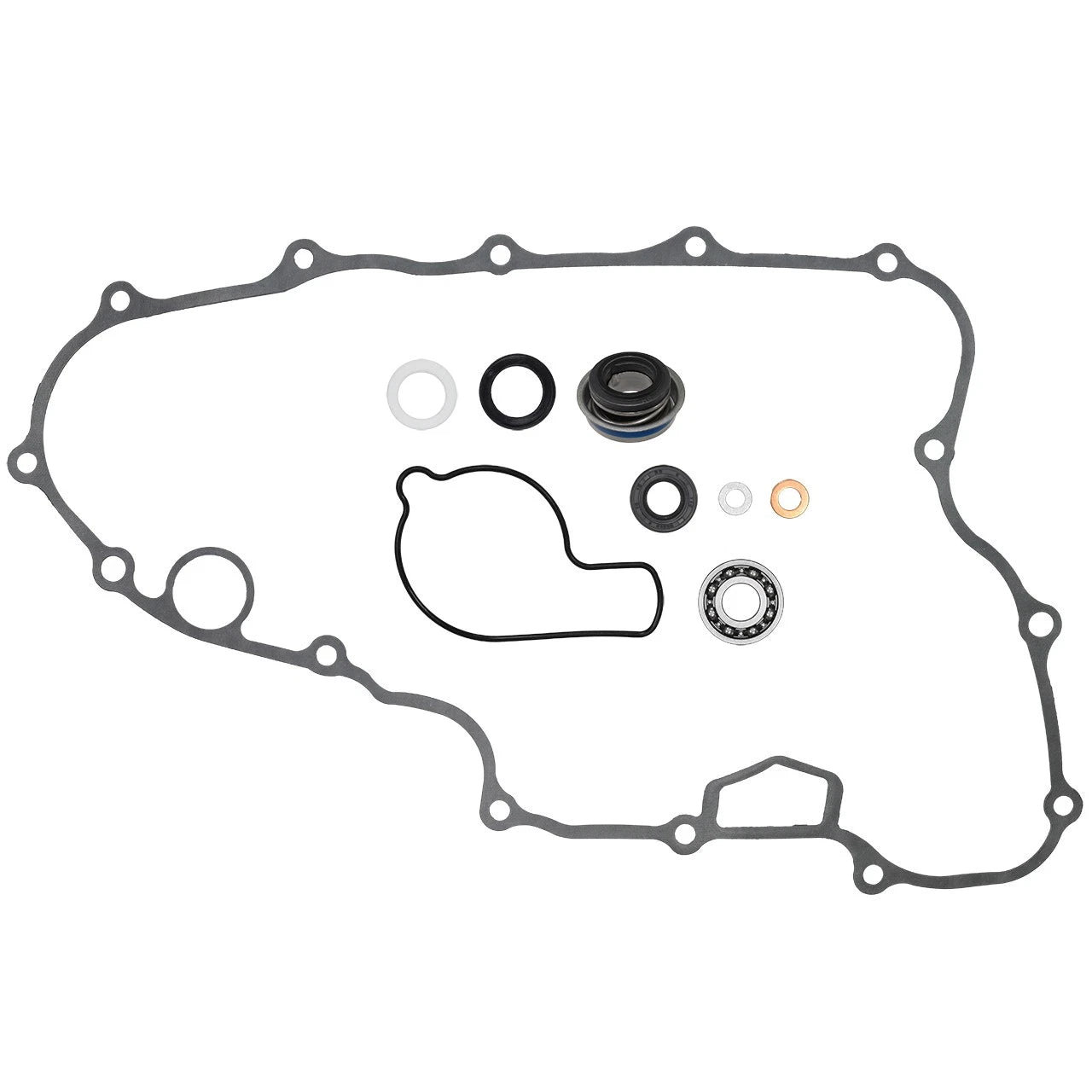 Water Pump Repair / Water Pump for Honda TRX450R & TRX450ER Sportrax (2006–2014)