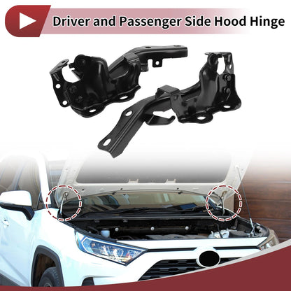 Hood Hinges 1 Pair for Lexus GX460 (2010-2021)