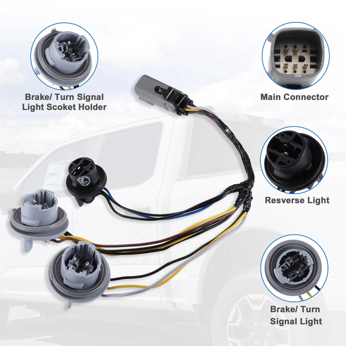 Tail Light Socket & Wire Harness for Ford F150 (2018)