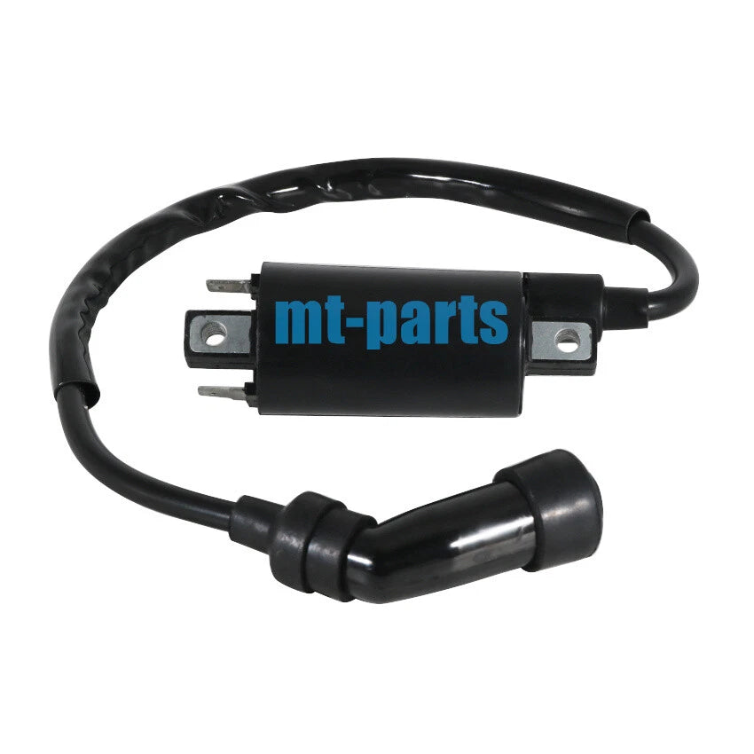 Ignition Coil for SMC ATV Barossa Jumbo 300 301 302, RAM, Razzer 300