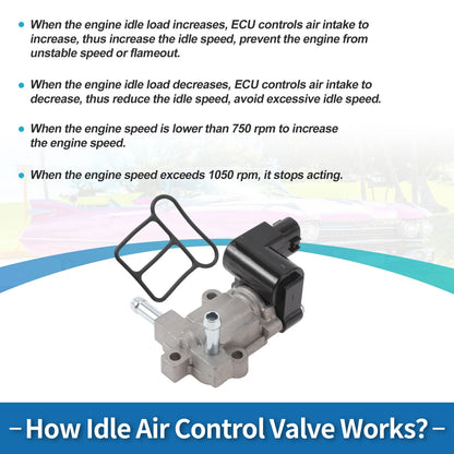 Idle Air Control Valve for Toyota Tacoma (2000-2006)