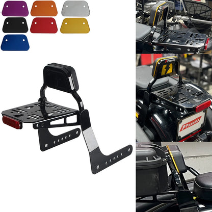 Sissy Bar Kit for Harley Softail Low Rider EI Diablo FXRST (2022-2024)