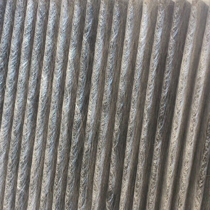 A/C Cabin Air Filter for Chrysler 300 Dodge Challenger Charger Magnum (2005-2008)