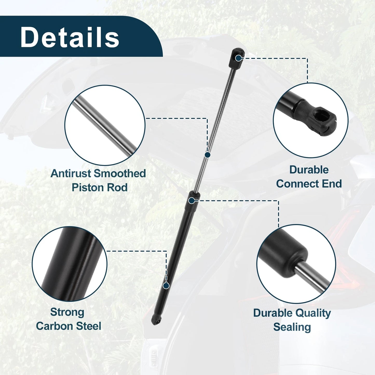 Tailgate Lift Supports 2 x Struts for BMW 3 Series E91 Touring (2006-2013)