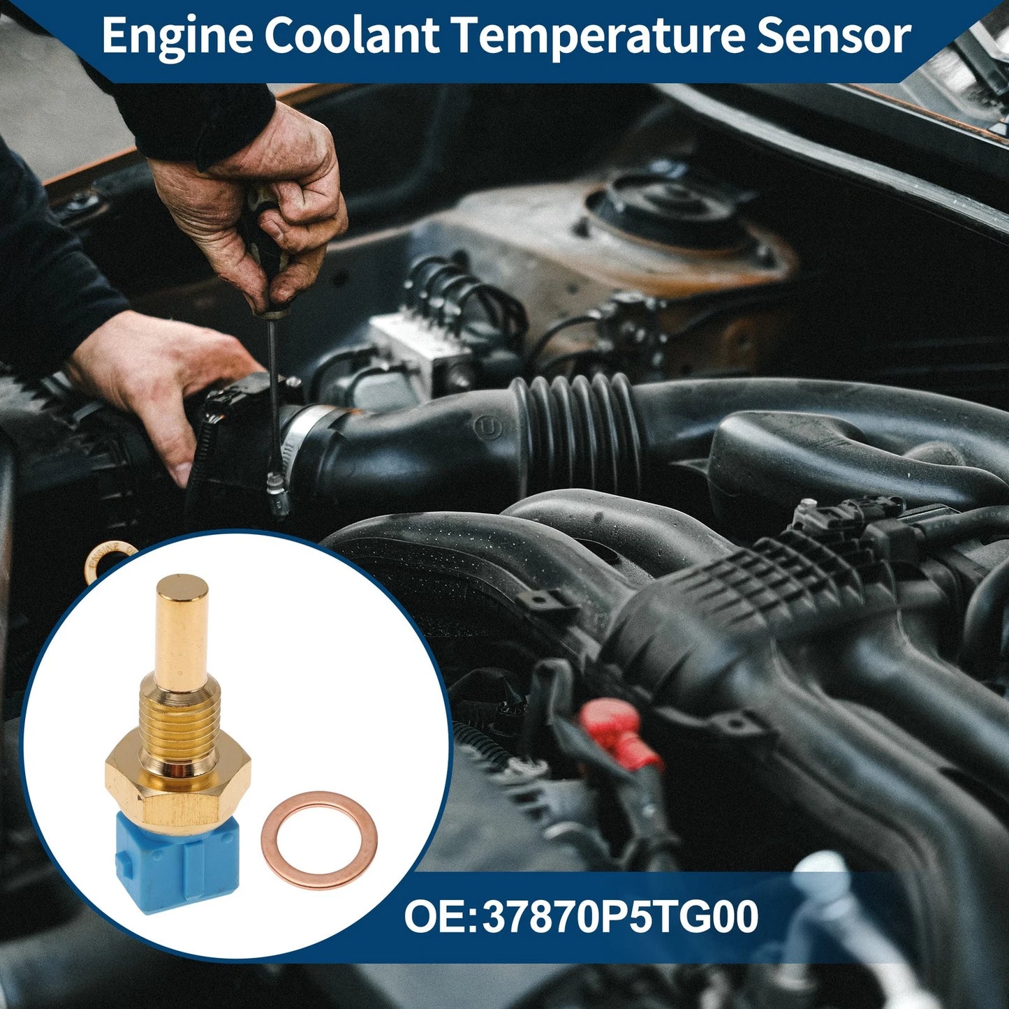 Engine Coolant Temperature Sensor for Honda Accord (2018-2023)