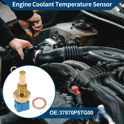 Engine Coolant Temperature Sensor for Honda Accord (2018-2023)