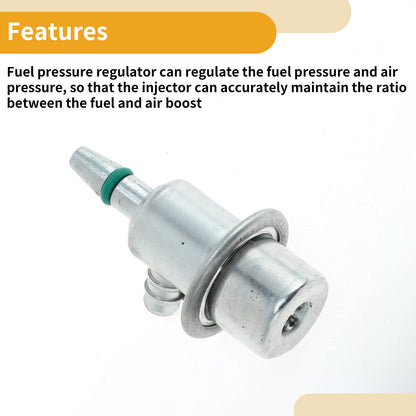 Fuel Pressure Regulator for Chevrolet Aveo 1 Pc (2008 - 2009)