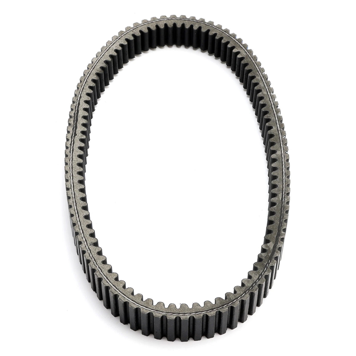 Drive Belt for Online x7.5, Explorer Urano 750, DLS 700, Argon 700/750