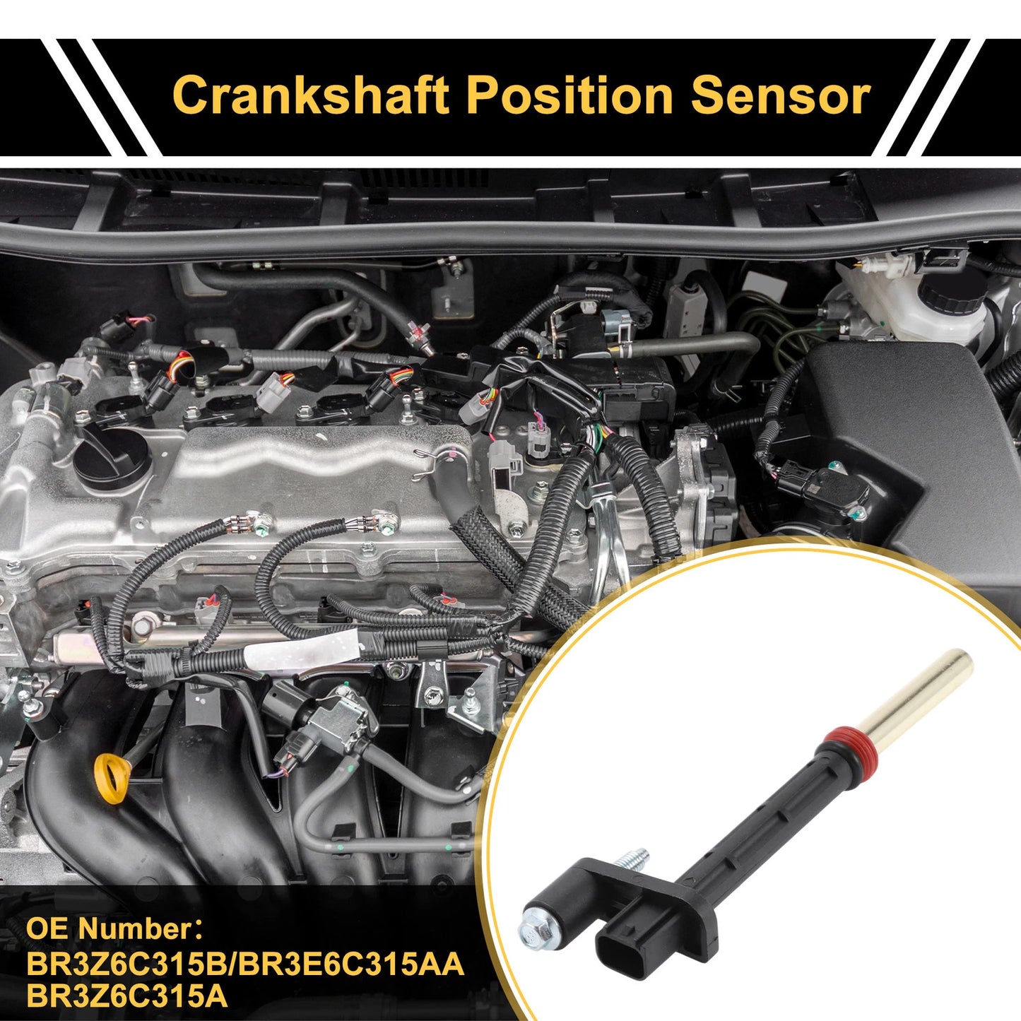 Crankshaft Position Sensor for Ford F-150 5.0 (2011-2017)