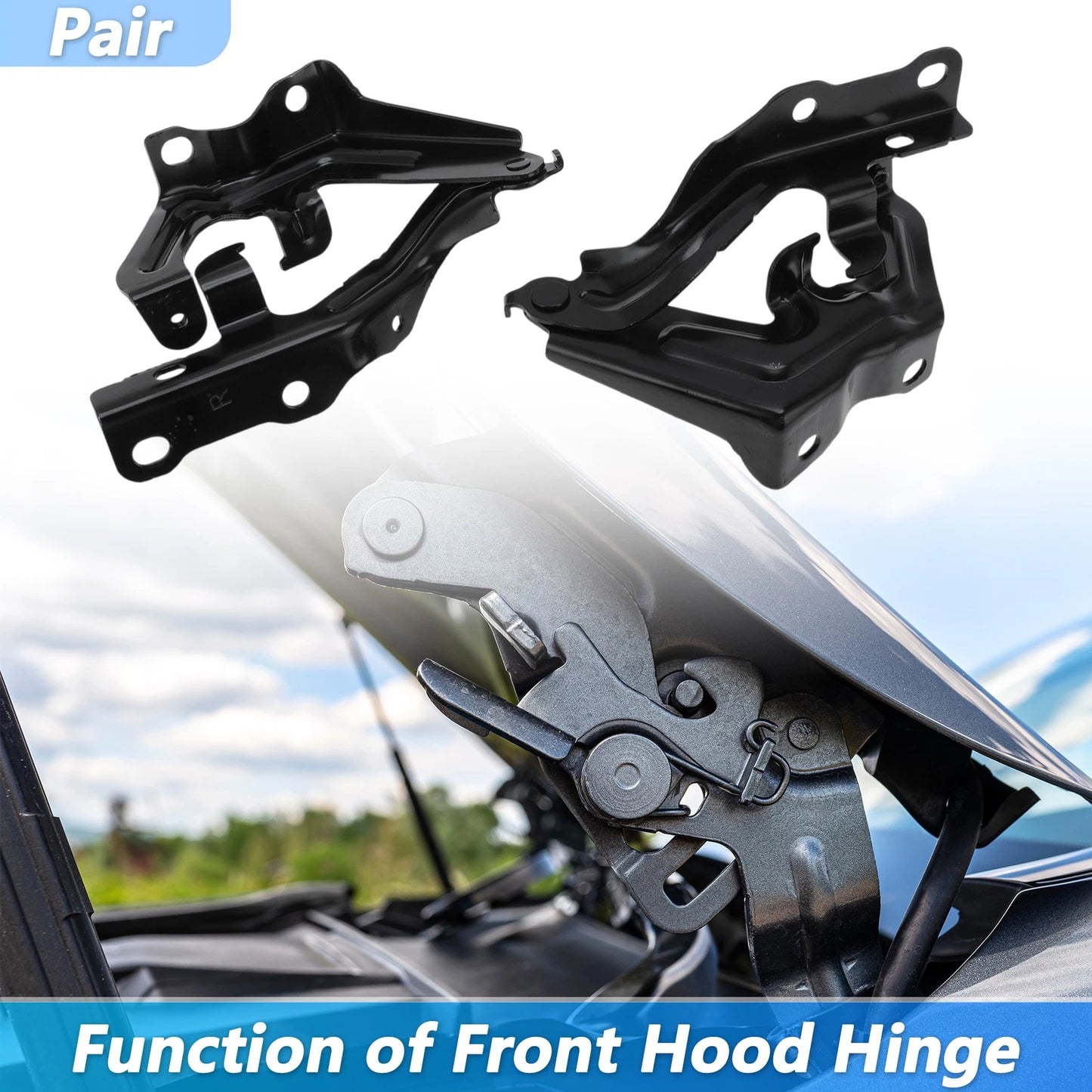 Front Hood Hinge Set for Toyota Camry (2015–2017)