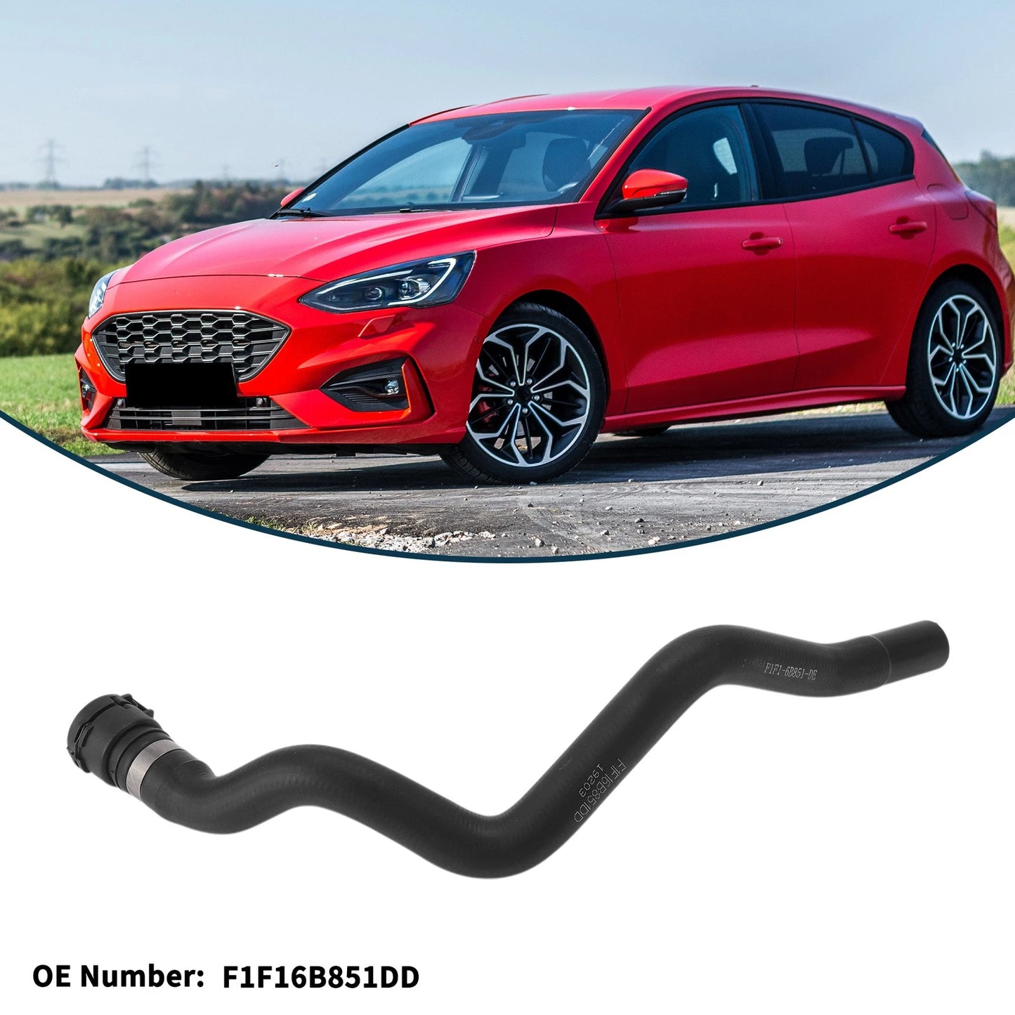 Radiator Hose for Ford Focus (2015)