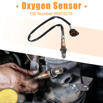 Front Left & Right Oxygen Sensor for Chevrolet Cruze (2011 - 2015)