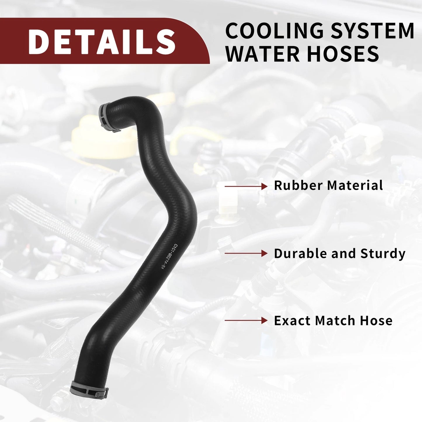 Radiator Hose for Ford Fiesta (2008-2023)